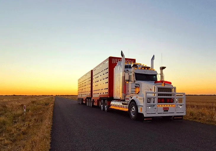 Что такое коммерческие аварийные сигнальные огни для транспортных средств?